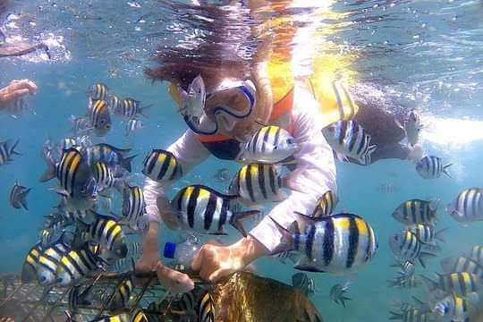 Snorkeling with tropical fish near the Gili Islands, Lombok